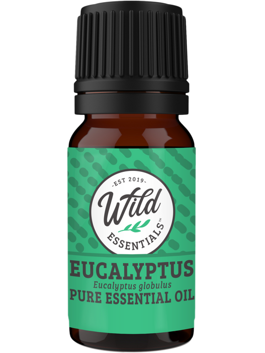 Essential Oils (Single Note) EUCALYPTUS